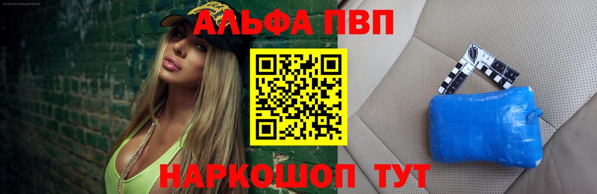 Альфа ПВП СК КРИС Светлоград