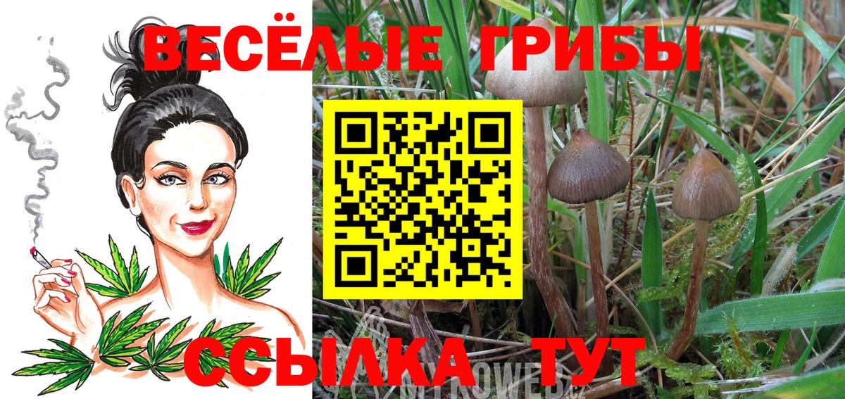 Галлюциногенные грибы мухоморы Светлоград